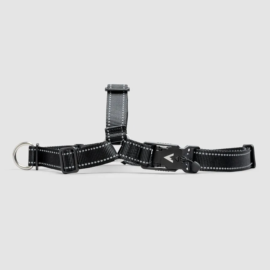 A black nylon dog harness with reflective stitching and a black metal buckle, laid flat on a light gray background.