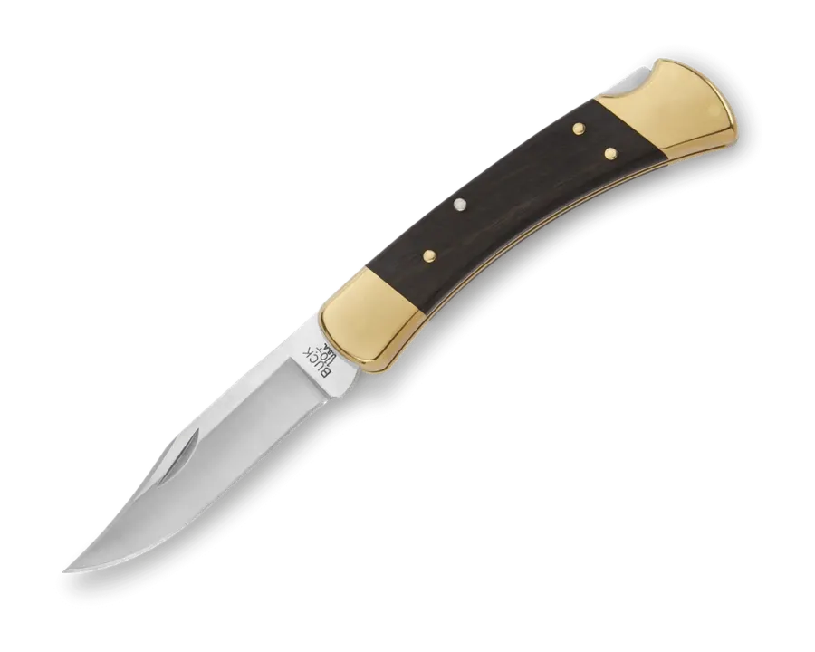 An open Buck 110 Folding Hunter knife with a dark wood handle and brass bolsters, polished steel blade, on a white background.