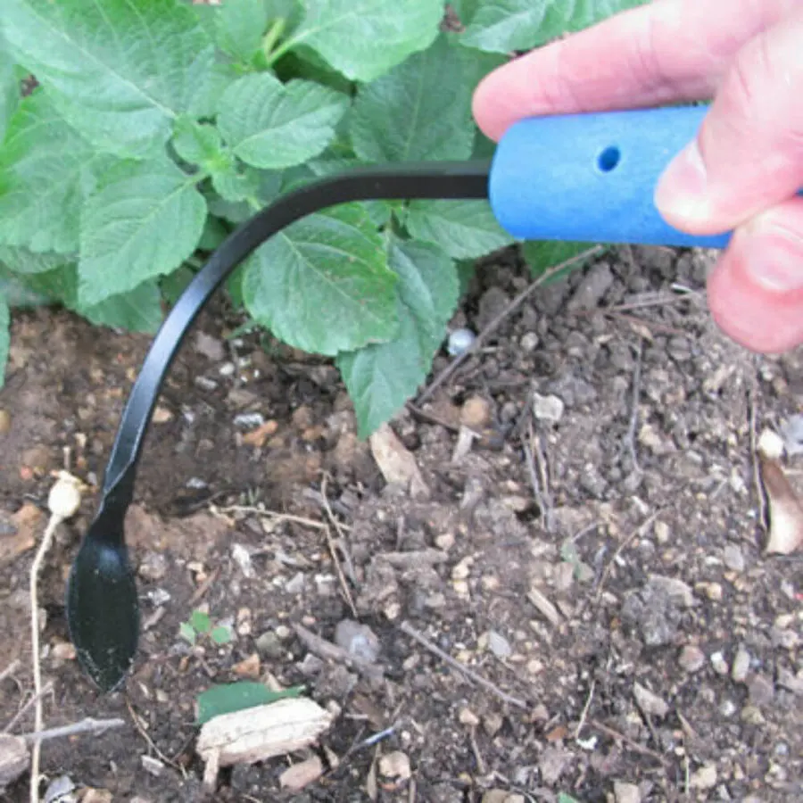 A hand gripping a blue-handled CobraHead weeder, its curved black blade hooked into garden soil beside a leafy green plant.
