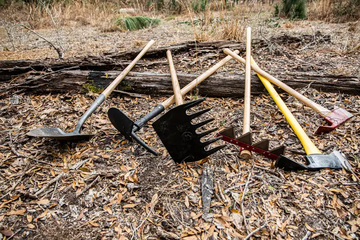 A fan of Council Tool garden and field tools -- a spade, a hand fork, a claw cultivator, two hoes, and a yellow-handled axe -- leaning against a fallen log on dry leaf litter.