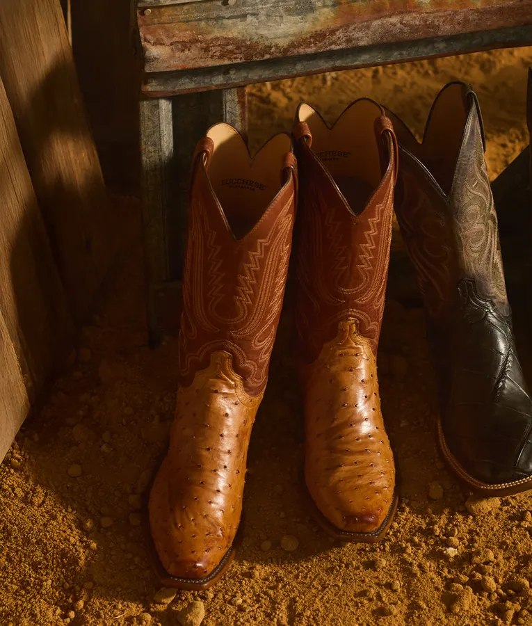 Two pairs of cowboy boots — cognac ostrich-quill and black caiman — standing side by side on a dirt floor in a sunlit barn setting, next to a weathered wooden bench.