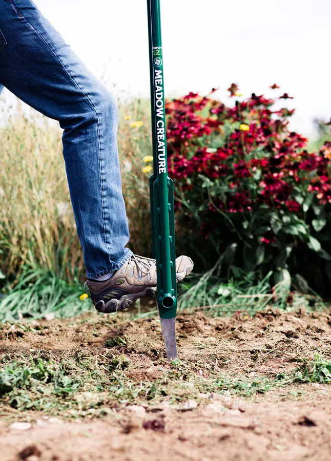 A person's foot in a hiking shoe pressing down on the crossbar of a green-handled steel broadfork, its tines driven into tilled garden soil, with red and yellow flowers blooming behind.