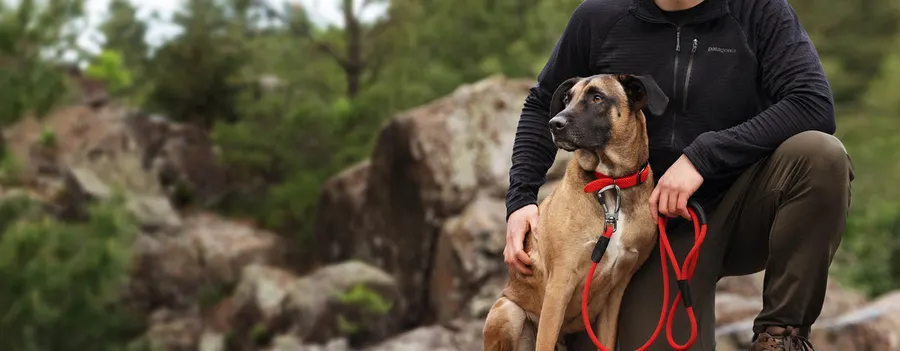 A kneeling person in outdoor gear crouches beside a brown-and-black dog wearing a red Mendota rope leash and collar, on a rocky outcrop surrounded by green trees.