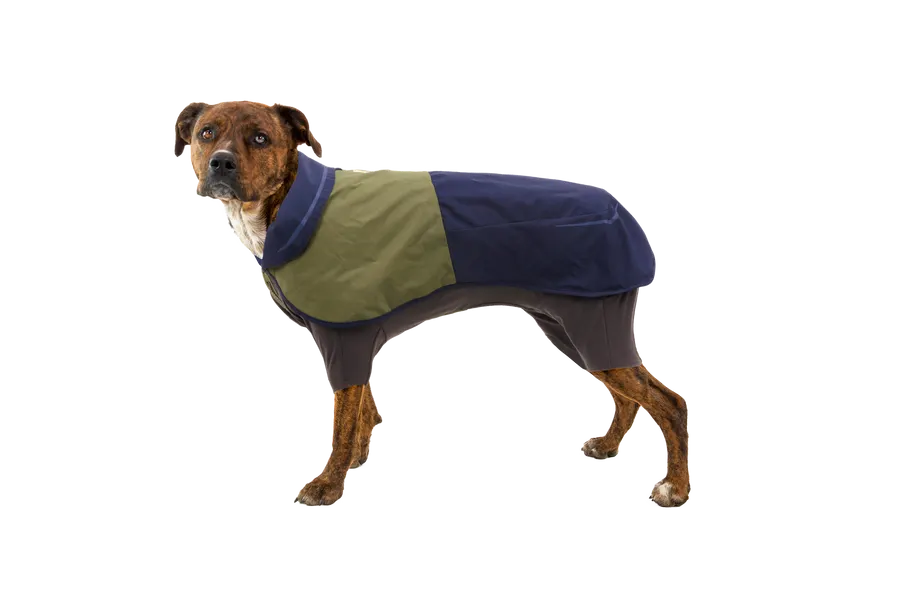 A brown brindle dog standing in profile wearing a navy, olive, and grey Sun Shower rain coverall that covers its back, chest, and legs, against a plain white background.