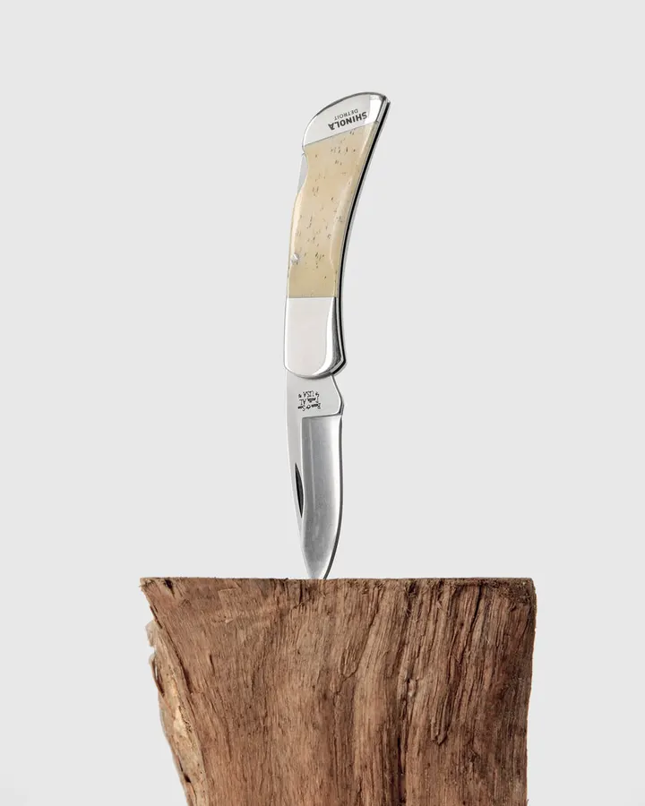 A Shinola folding pocketknife with a cream bone handle, blade open, standing upright driven into the flat top of a wood log against a plain grey background.